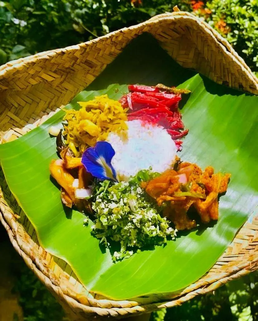 Hotel Ayurveda Spring Of Life Piliyandala 0*,  Sri Lanka