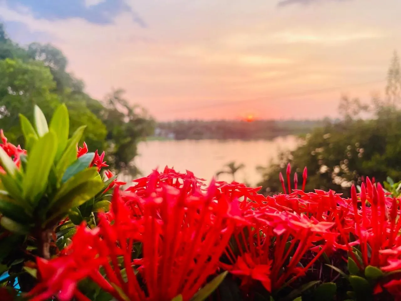 Hotel Ayurveda Spring Of Life Piliyandala Sri Lanka